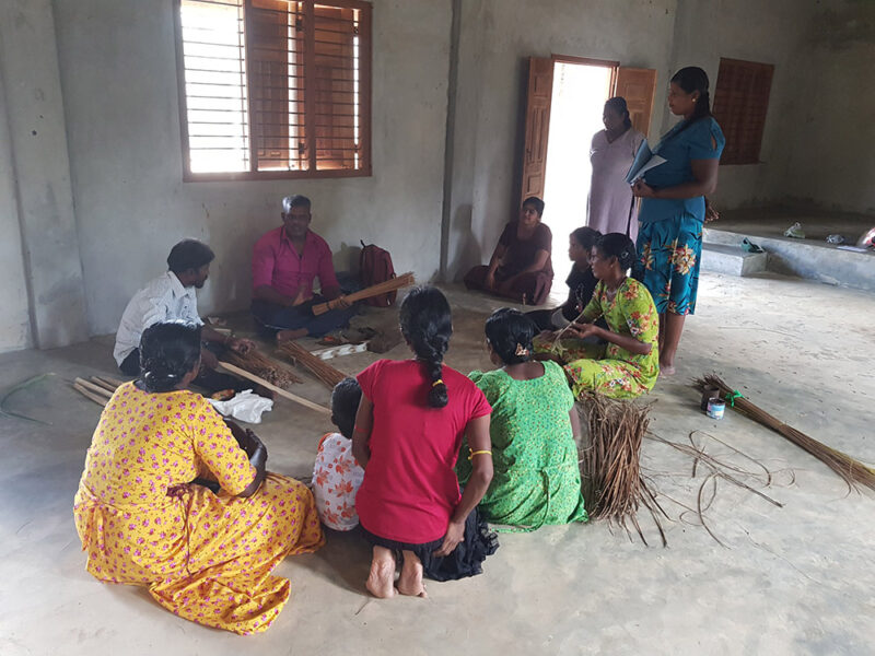 The Ekel Broom training program