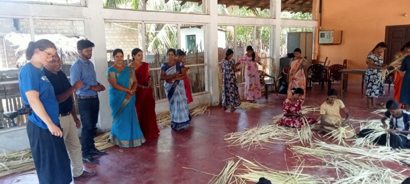 The-Palmara-training-program2